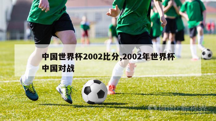 中国世界杯2002比分,2002年世界杯中国对战