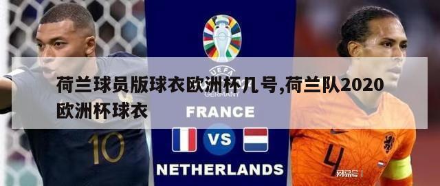 荷兰球员版球衣欧洲杯几号,荷兰队2020欧洲杯球衣